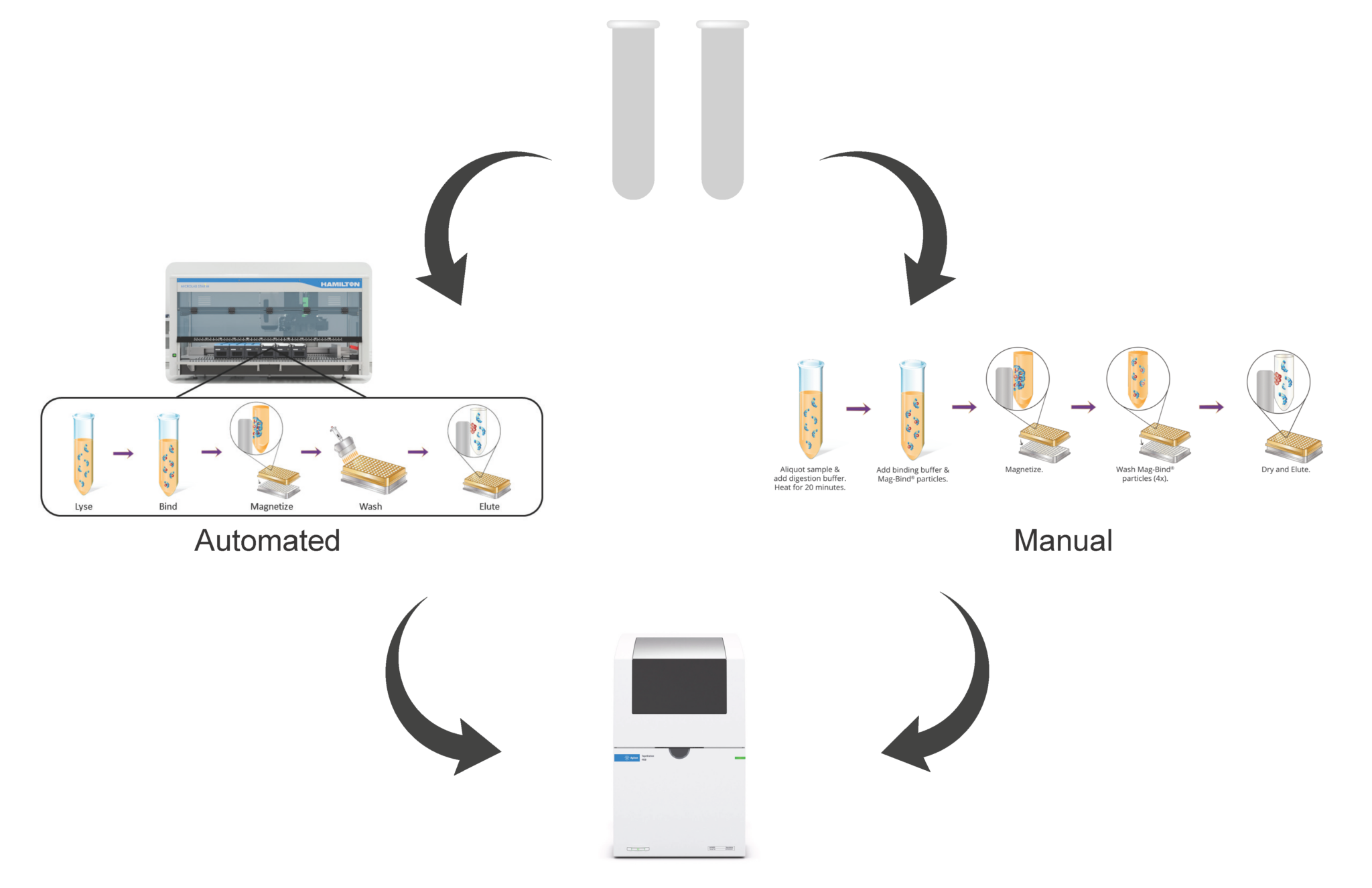 High Throughput Fully Automated Cell Free Dna Extraction From Up To 10